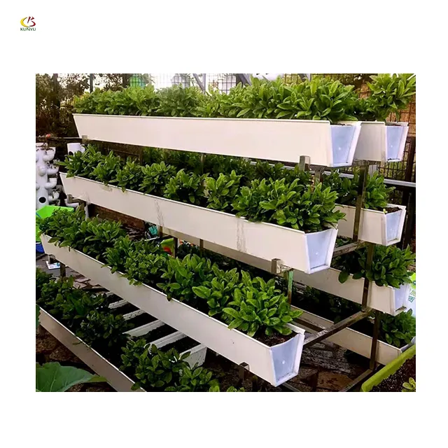 Grondloze Cultuur En Substraat Systeem Planten Pvc Gutter