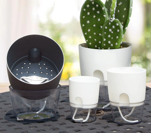 Poteaux floraux verts pour plantes, auto-arrosants, avec système de drainage, pour maison et cabane transparente - Product Image 2