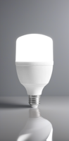 5W 10W 15W 20W 30W 40W 50W 60W E27 E22 fabriqué en Chine ampoules Led bon marché lumière en gros Rohs certifié au bureau à domicile