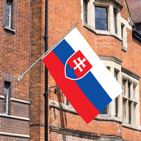 Drapeau slovaque imprimé sur mesure de 3x5 pieds en polyester durable simple face avec sensation de soie pour l'affichage automobile et les bannières nationales