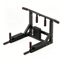 Zyfit Rack de musculation multifonctionnel pour la maison, équipement d'entraînement de force, station de tractions et dips