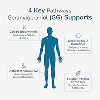 Geranylgeraniol (GGOH) Pur à 99% Solution à 15% CAS 24034-73-9 Isomère entièrement trans Suppléments de santé de qualité alimentaire