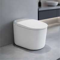 Toilette intelligente de luxe en gros OEM/ODM avec télécommande, chauffage instantané, bidet électrique intelligent pour salle de bain haut de gamme de complexe hôtelier