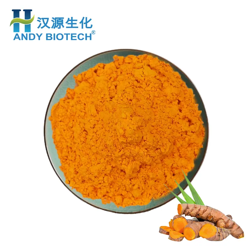 Plant Extract Bulk Turmeric Extract Powder 95% Curcumins