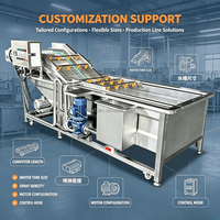 Industriële wasmachine voor fruit, groenten, champignons en aardappelen