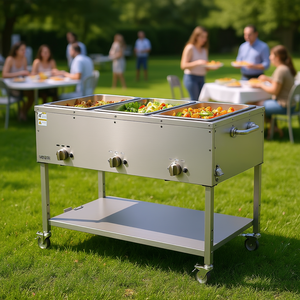 Calentador de Alimentos a Propano Vevor, Mesa de Vapor de Acero Inoxidable de 3 Recipientes, Control de Temperatura Independiente, Uso en Exteriores, Ruedas de 3 Pulgadas - Product Image 2