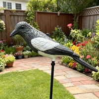 Décoys d'oiseaux en plastique pour extérieur, magpies réalistes floqués, pour la chasse aux oiseaux dans la cour, le jardin, la pelouse, décoration