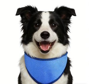 Collar Refrigerante para Mascotas, Nuevo Modelo 2026, Personalizable, Cómodo, Portátil, Reutilizable, para Perros y Gatos, Bufanda Refrigerante para Verano, Material PVA - Product Image 2