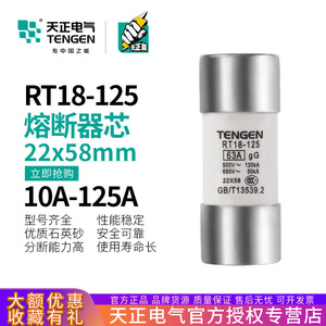 Fusible Tengen RT18-125 63A 22x58mm, fusible à cartouche pour applications basse tension - Product Image 5