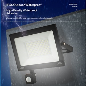 Human Body Sensor Floodlights 10W 50W