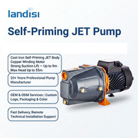 Pompe à eau à jet LANDISI 1 CV pour irrigation agricole et salle de bain, à haute pression