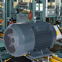 YE3 Moteur asynchrone triphasé 11/15/18 kw 22/30kw Horizontal Vertical 2 pôles 4 pôles 6 pôles étanche 22/30kw triphasé