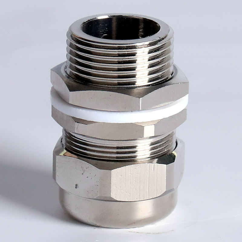 Double Compression M20 3d Model EX Double Compression Armoured Cable Glands - IP66