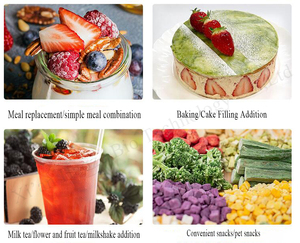 Khỏe Mạnh Snack Fd Đông Khô Sữa Chua Dâu Tây/Blueberry/Xoài/Vàng Đào <span class=keywords><strong>Flavour</strong></span> Hỗn Hợp Đóng Băng Khô Sữa Chua Cubes - Product Image 6