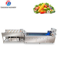 Commerciële Automatische Fruit-En Groenteborstel En Wasverwerkingsproductielijn