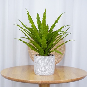 Olla <span class=keywords><strong>de</strong></span> hojas <span class=keywords><strong>de</strong></span> Osaka <span class=keywords><strong>de</strong></span> plástico <span class=keywords><strong>de</strong></span> alta calidad Oh Arts, bonsái <span class=keywords><strong>de</strong></span> Asplenium, mesa <span class=keywords><strong>Buxus</strong></span>, vegetación, Artificial Nido <span class=keywords><strong>de</strong></span> Pájaro <span class=keywords><strong>de</strong></span> seda, Helecho, hogar al aire libre - Product Image 6