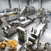 Professionele productielijn voor aardappelchips, 800 kg/uur continue frituur voor restaurantleveranciers, knapperige aardappelchips maker