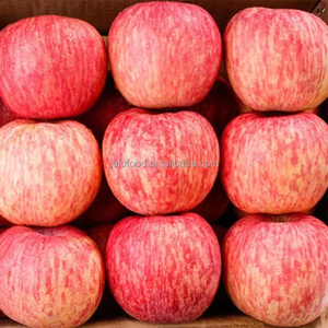Bán nóng táo đỏ tươi từ nhà xuất khẩu hàng đầu Trung Quốc - Product Image 6