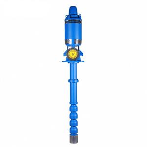 Pompe à eau verticale à longue tige série SUOU LSP pour puits profond, alimentation en eau, circulation verticale, refroidissement, usage domestique et pompe incendie - Product Image 1