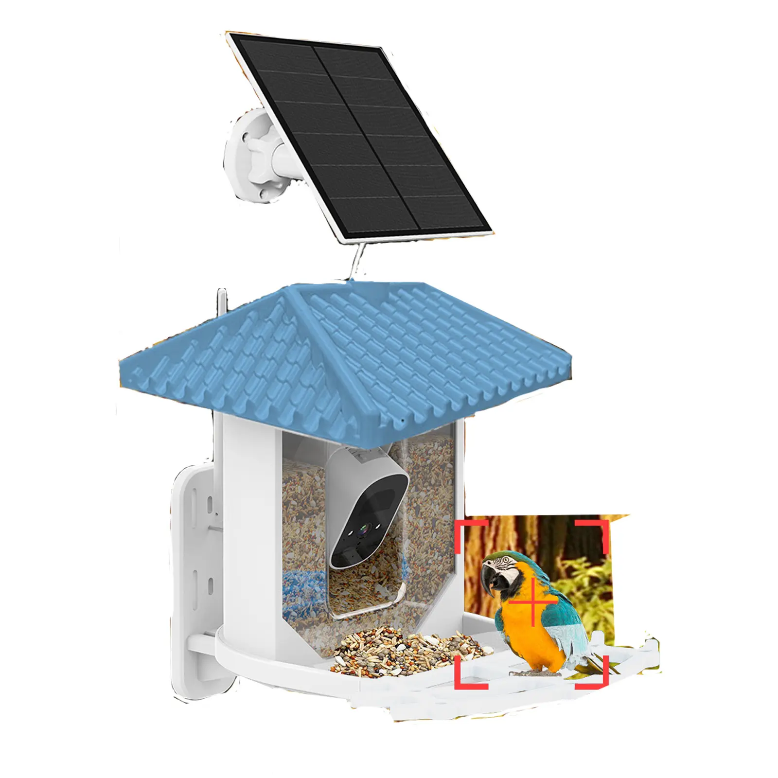 Bird Feeding Camera WiFi Outdoor AI Identify Bird Species Auto Capture Videos Solar Smart Bird Feeder Camera