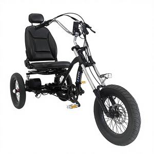 Vélo couché 16 pouces avec <span class=keywords><strong>assistance</strong></span> électrique, moteur arrière, haute vitesse, pour <span class=keywords><strong>adulte</strong></span>, <span class=keywords><strong>tricycle</strong></span> à pédales de forme personnalisée - Product Image 1