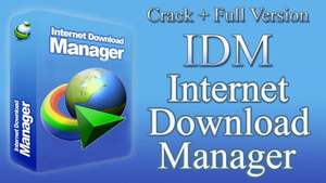 IDM Internet Download Manager - Licence d'un an disponible - Livraison en 12 heures - Product Image 2