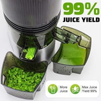 Custom Logo 5.11 Inch Brede Voerparachute Professionele Koude Pers Langzaam Fruit Juicer Elektrische Commerciële Juicer Afzuigmachine
