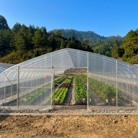 Serre tunnel commerciale en plastique stable avec couverture en film PE pour la culture hydroponique de légumes-feuilles