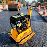 Compacteur à plaque vibrante multi-moteurs GZD, service ODM/OEM, options essence et diesel