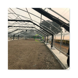 Agriculture Medical Large Fully Automated Blackout Shade Greenhouse with Hot Galvanized Steel Structure Light Dep <strong>Poly</strong> <strong>Tunnel</strong> - Product Image 5