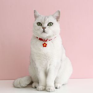 Lindo Collar Floral para Gatos con Campana, Collar Ajustable con Flores Coloridas para Gatitos y Cachorros, Accesorios para Mascotas - Product Image 4
