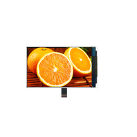 Fabrik 4 Zoll TFT LCD 480*800 2-Kanal MIPI LCD-Anzeige Bildschirm 4 Zoll TFT LCD