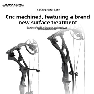 Junxing Home-made Hoyt RX10 Professional Composite <b>Bow</b> High 70 Pounds Adjustable H21 High Ensures Accurate Shots Every - Product Image 3