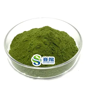 Barley Wheat Grass Powder Hot Selling Natural Plant Barley Leaf Juice Powder Barley Grass Powder