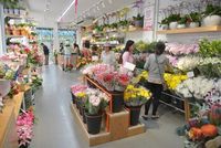 Exhibidores de Flores de Lujo para Diseño de Kioscos en Centros Comerciales, con Luz LED, Tratamiento de Superficie con Barniz, Elegantes para Floristerías