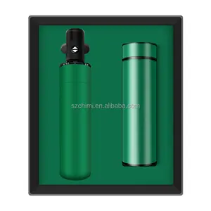 Set regalo aziendale di colore verde ombrello automatico business 304 set regalo boccetta sottovuoto in acciaio inossidabile regali medici per medici