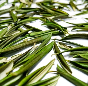 Fábrica GMP QY Herb Wholesales, Extracto de Hoja de Olivo en Polvo de Alta Calidad a Buen Precio - Product Image 3