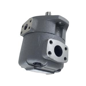 ปั๊มแบบเคลื่อนที่คงที่ ซีรีส์ IVP40-F-12 IVP40-F-15 ปั๊มใบพัดสำหรับอุตสาหกรรมระบบอัตโนมัติ IVP40-F-26 - Product Image 4