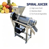 Machine à jus industrielle pour pommes et ananas, extracteur de jus en spirale SUS 304, machine à lait de coco