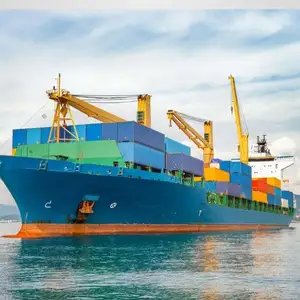 Excellent Marine Container Provider From China to Latvia