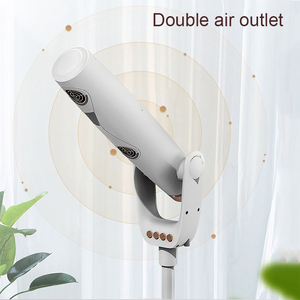 الشعر العمودي الأيوني المبتكر المنزلي مزدوج الحجم يقف فوق مستوى الطاقة العالية - Product Image 6