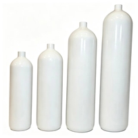 Bouteille d'extincteur en acier inoxydable de haute qualité 3 kg certifiée ISO CE pour extincion d'incendie portable, utilisable, OEM