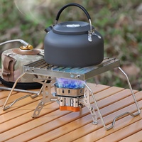 Grille de camping pliable en acier inoxydable robuste avec pieds