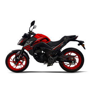 รถมอเตอร์ไซค์2ล้อแบบสปอร์ตสอง200cc น้ำมันเบนซิน - Product Image 3