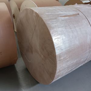 Rouleau de papier couché PE simple ou double paroi, matière première, haute qualité, 210 g/m², 235 g/m² - Product Image 4