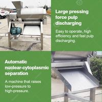 Passion Machune De Mango Maquina Despulpadora Elektrische Pulper Fruitschilmachine Met Putjes En Pulp