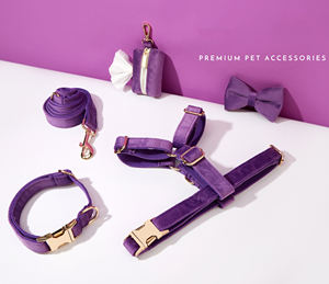 Conjunto de Veet púrpura personalizado, correa de cachorro hecha a mano, pajarita para regalo de boda, Collar de perro grabado elegante - Product Image 2