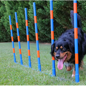 Ensemble de 6 pôles d'extérieur Pawise, équipement de slalom d'agilité durable de haute qualité <span class=keywords><strong>pour</strong></span> le dressage et les <span class=keywords><strong>jeux</strong></span> de chiens - Product Image 1