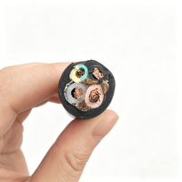 Câble d'alimentation flexible isolé EPR professionnel YZ 450/750V, fil de cuivre multiconducteur, IP44, résistant à l'huile, pour chantiers de construction