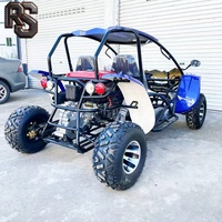 Buggy tout-terrain Raxen avec logo personnalisé, 4x4, 300cc, moteur à essence, pour le tout-terrain